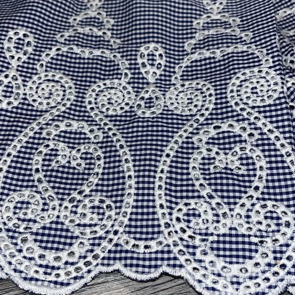 Zara Blue and White Gingham high waisted eyelet embroidered Shorts - small